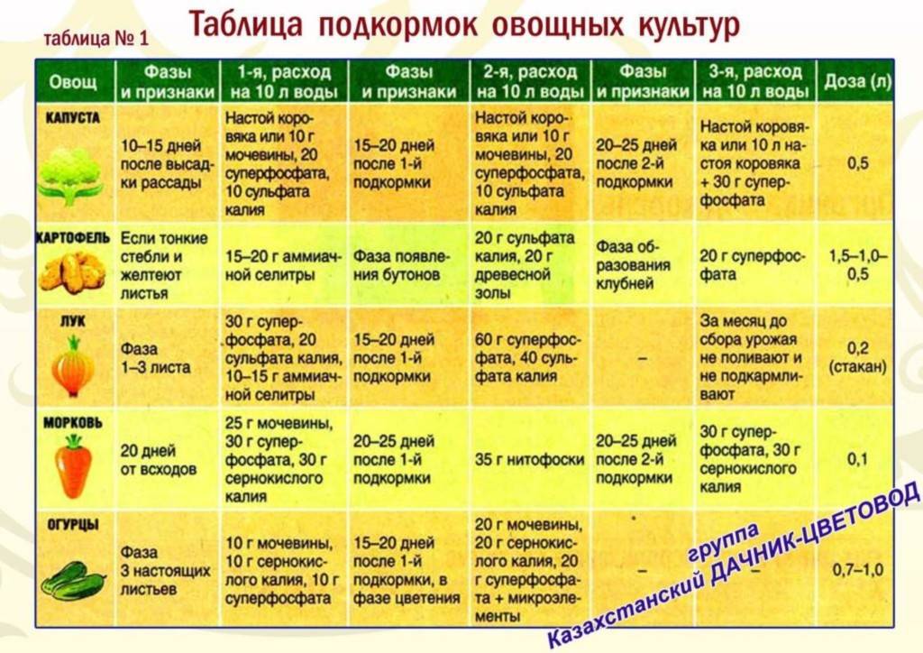8 хитростей для большого урожая кабачков. посадка, подкормки, полив, сбор урожая. фото — ботаничка