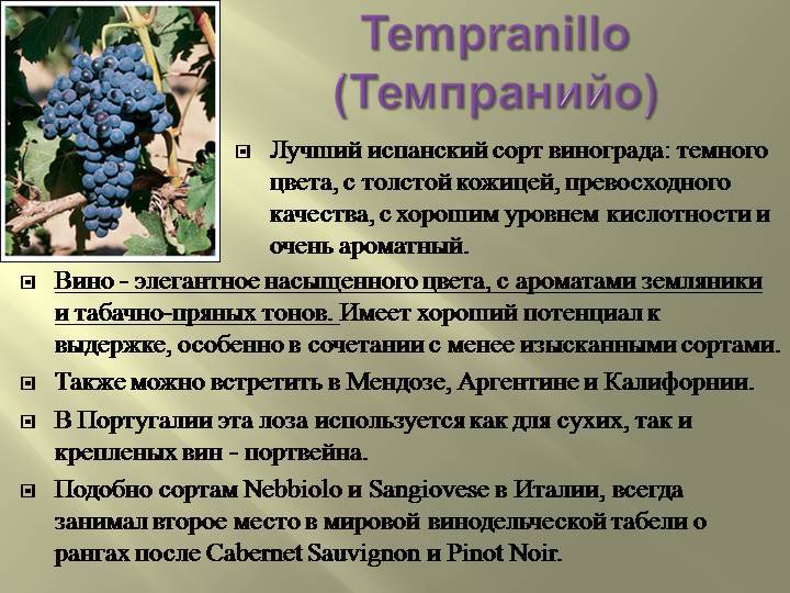 Лучшие сорта винограда для домашнего вина(сорта красного и белого винограда) | народные знания от кравченко анатолия