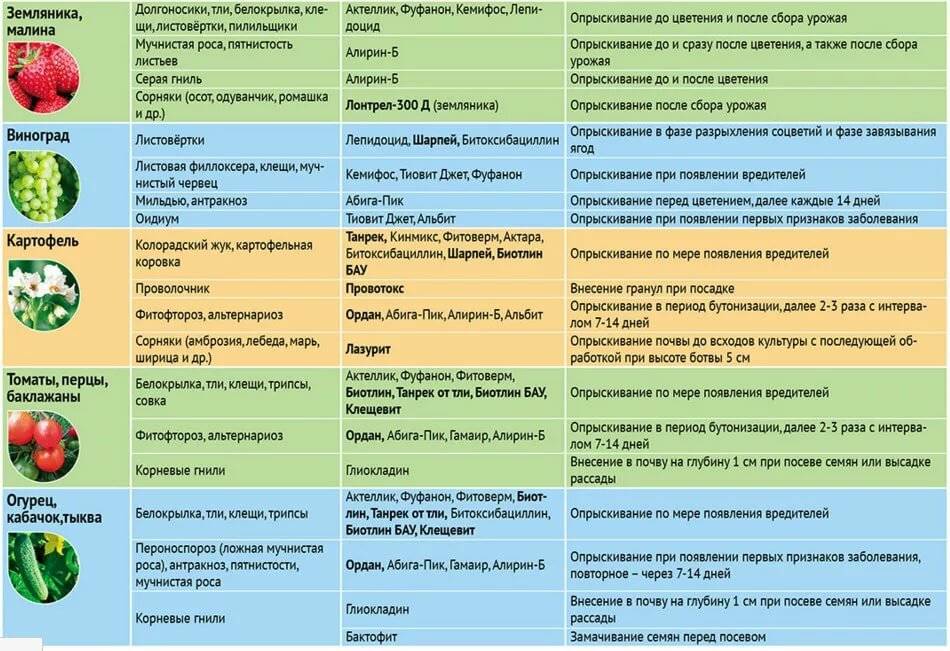 Как и чем обработать крыжовник ранней весной
