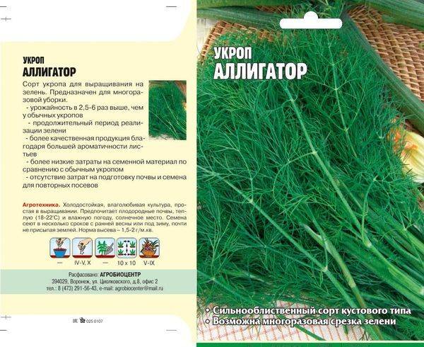 Укроп "аллигатор": описание сорта, фото, отзывы