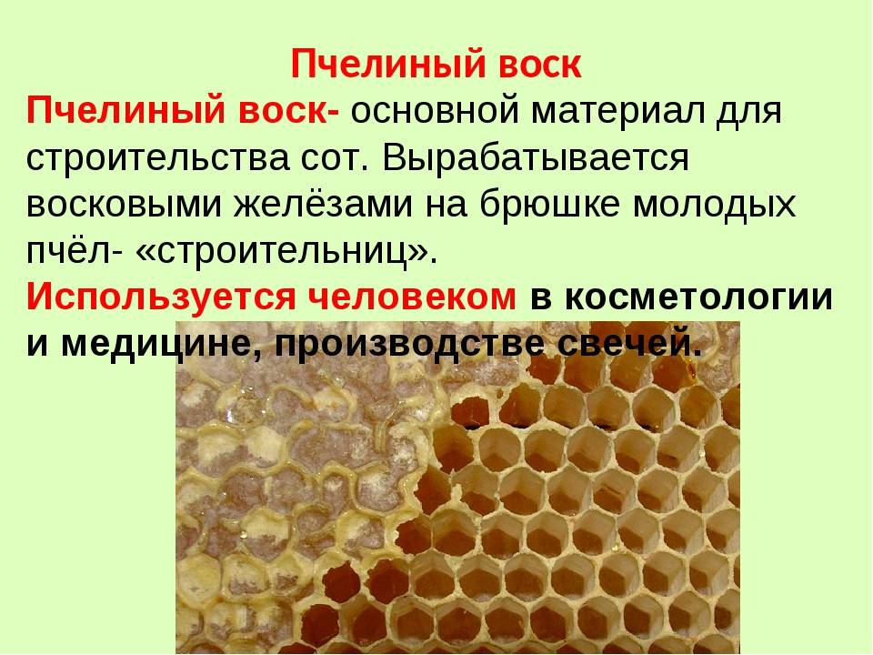 Как приготовить мазь - полная технология приготовления домашней мази – med-pochtoi.ru