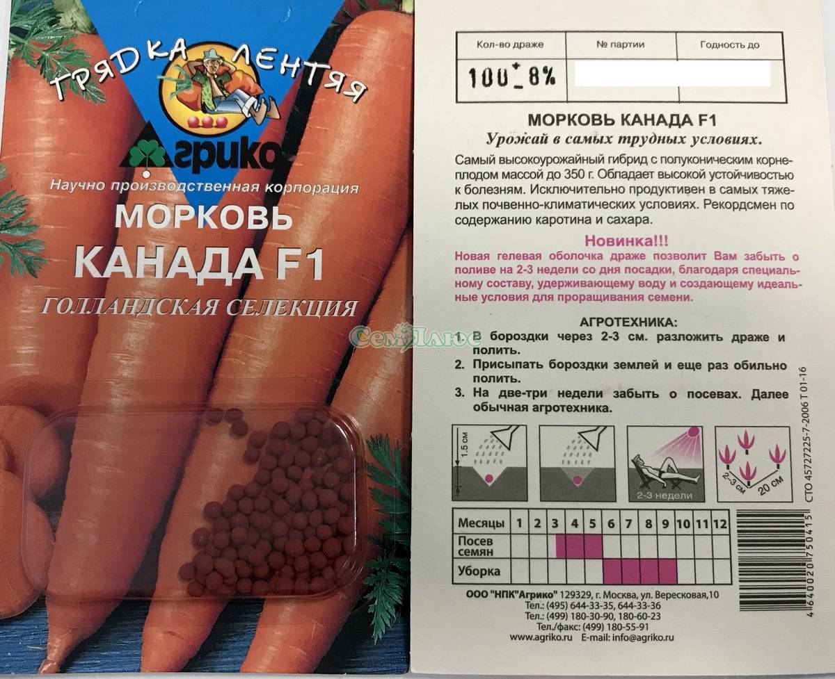 Морковь канада: характеристика урожайность сорта, фото и отзывы о гибриде f1, описание выращивания и советы по посадке