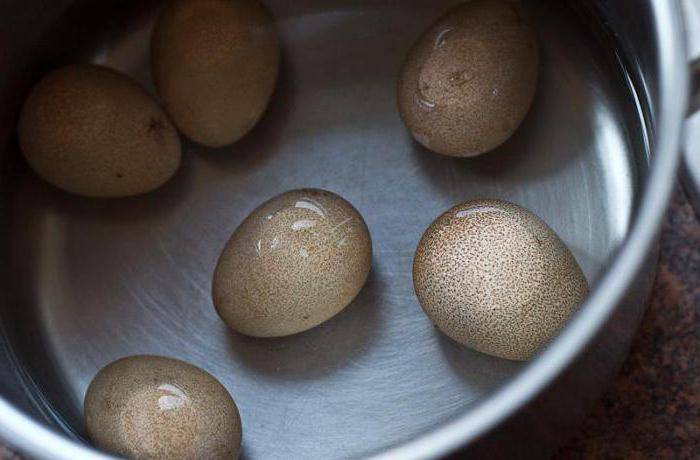 Цесариные яйца – польза и отличие от куриных: чем уникален продукт