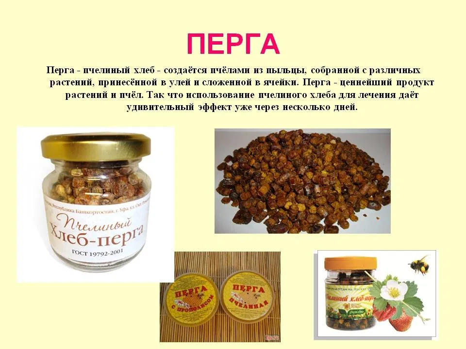 Пчелиная перга: что это такое, полезные свойства, как принимать?