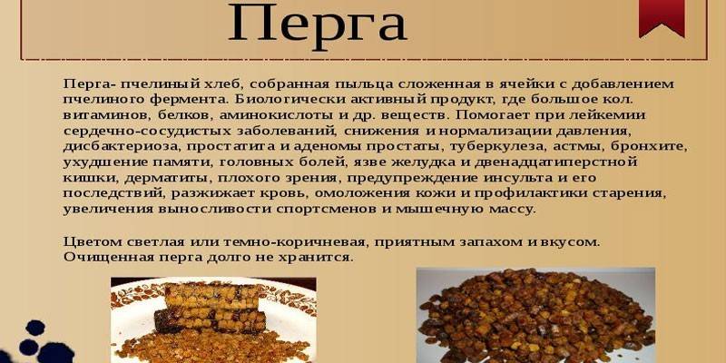 Перга пчелиная: полезные свойства и противопоказания | перга пчелиная | пчеловод.ком