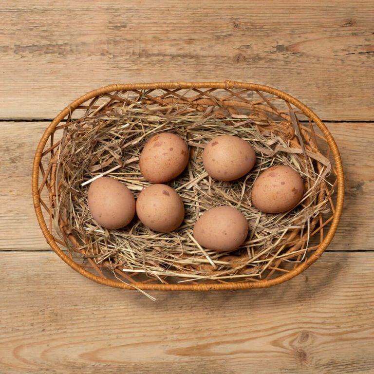 Цесариные яйца – польза и отличие от куриных: чем уникален продукт