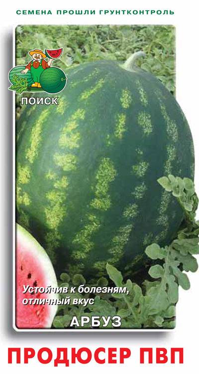Арбуз продюсер: описание сорта, фото, правила выращивания, отзывы